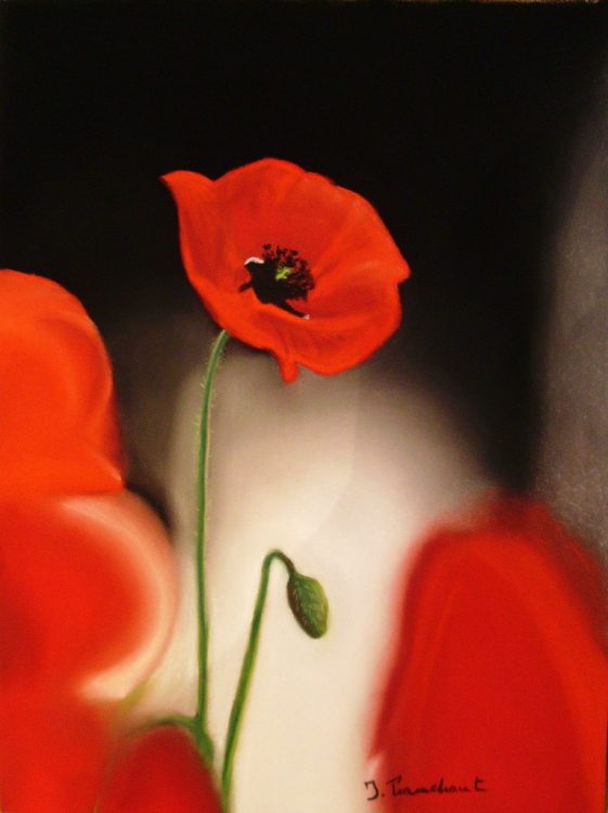 Coquelicot