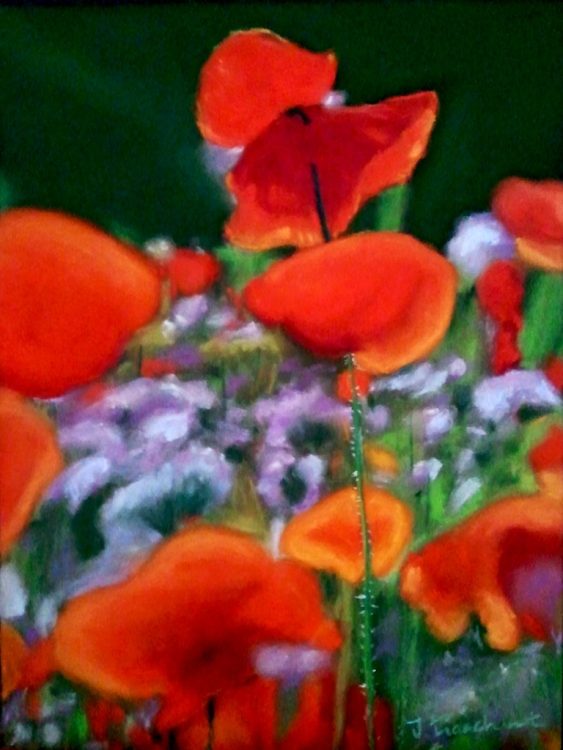 Coquelicots pour Tendresse