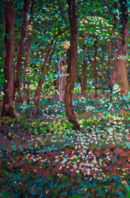 En forêt