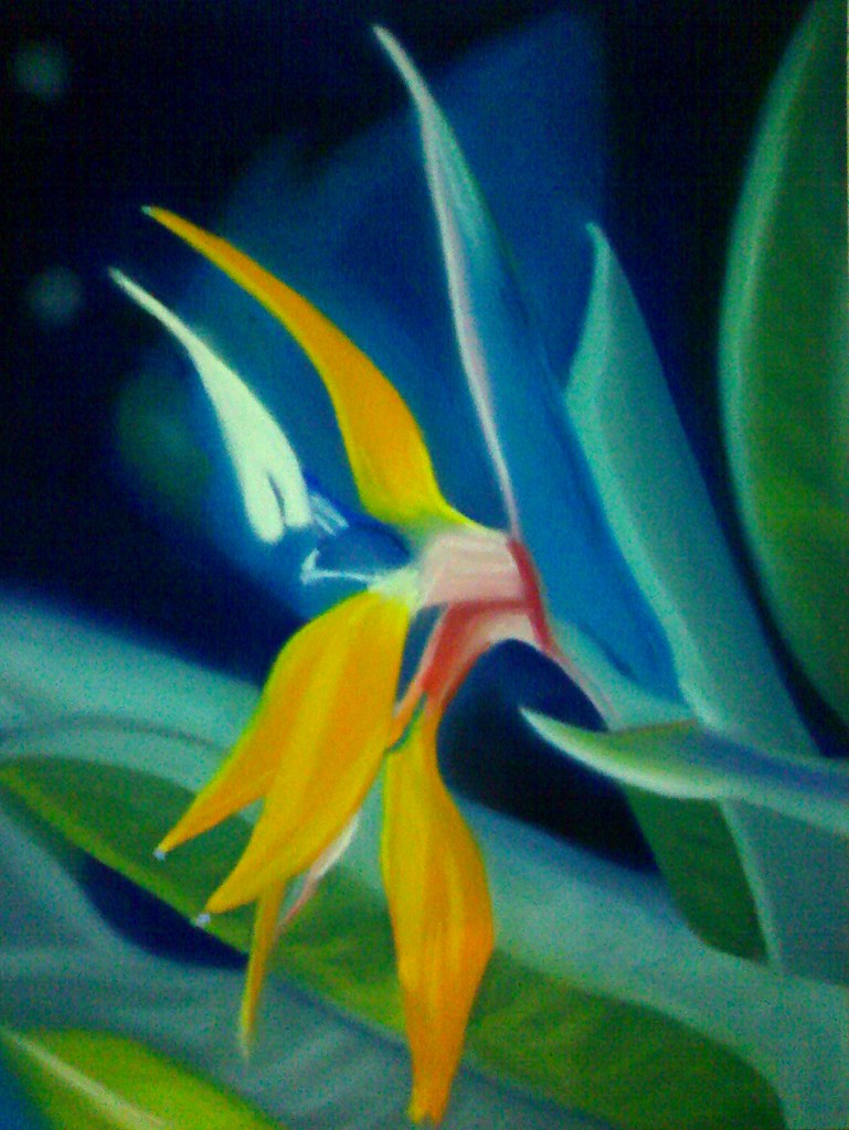Fleur du paradis