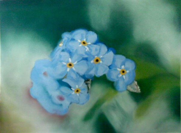 Fleurs bleues