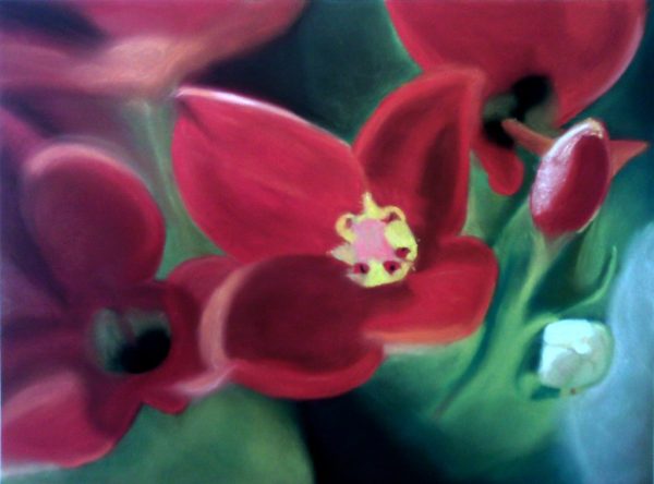 Fleurs rouges
