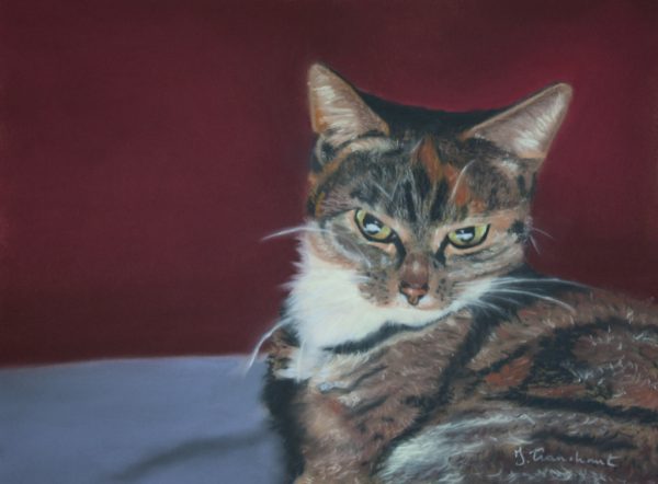 Tigrée